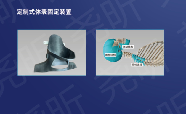 头颈部固定装置